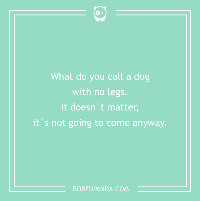 52 Two-Liners That Can Be Considered As Best Jokes Ever