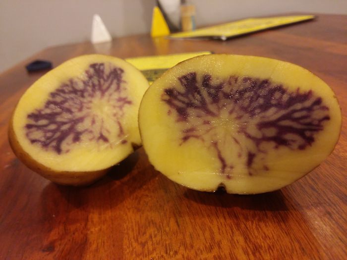 When Accidental Art Is Better Than Your Actual Art (202 Pics) When Accidental Art Is Better Than Your Actual Art (202 Pics)