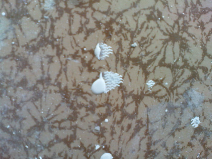 When Accidental Art Is Better Than Your Actual Art (202 Pics) When Accidental Art Is Better Than Your Actual Art (202 Pics)