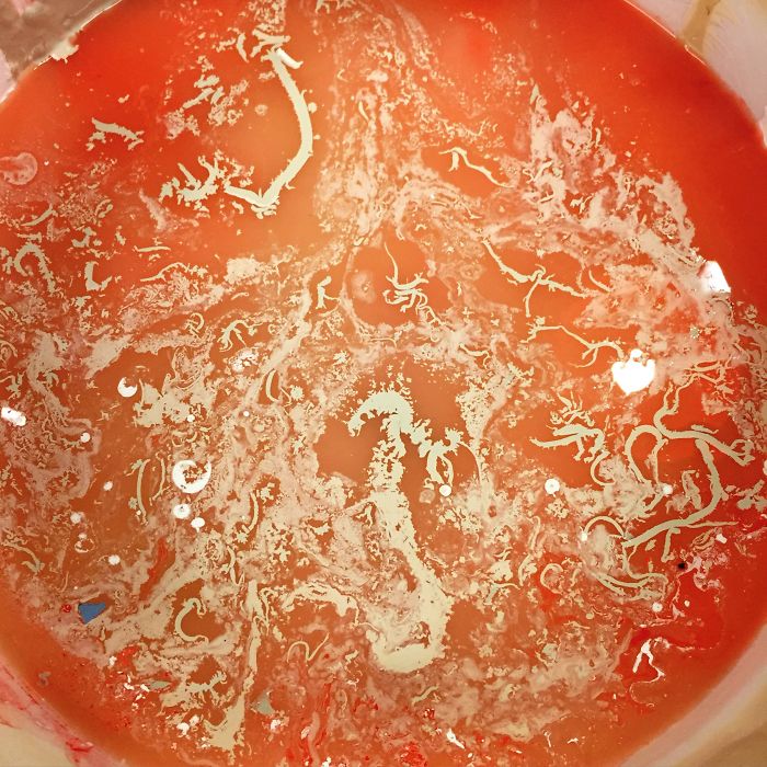 When Accidental Art Is Better Than Your Actual Art (202 Pics) When Accidental Art Is Better Than Your Actual Art (202 Pics)