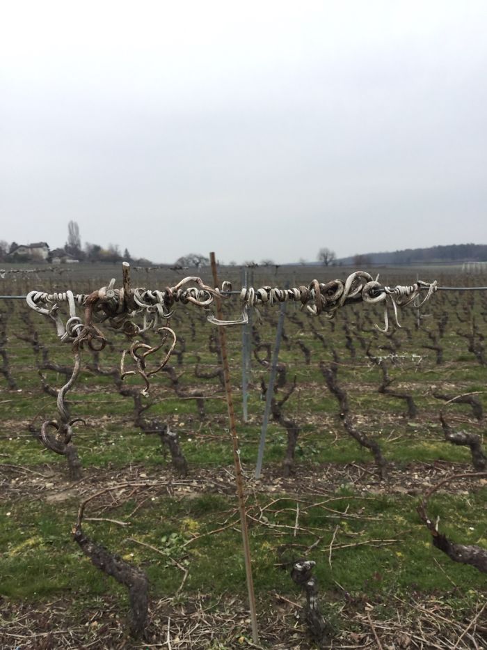 When Accidental Art Is Better Than Your Actual Art (202 Pics) When Accidental Art Is Better Than Your Actual Art (202 Pics)