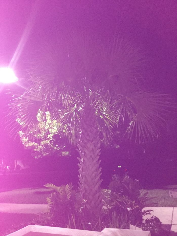 When Accidental Art Is Better Than Your Actual Art (202 Pics) When Accidental Art Is Better Than Your Actual Art (202 Pics)