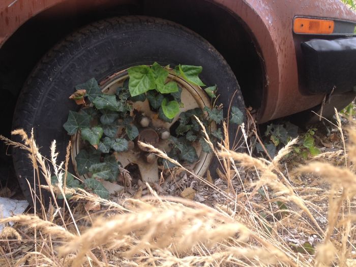 When Accidental Art Is Better Than Your Actual Art (202 Pics) When Accidental Art Is Better Than Your Actual Art (202 Pics)