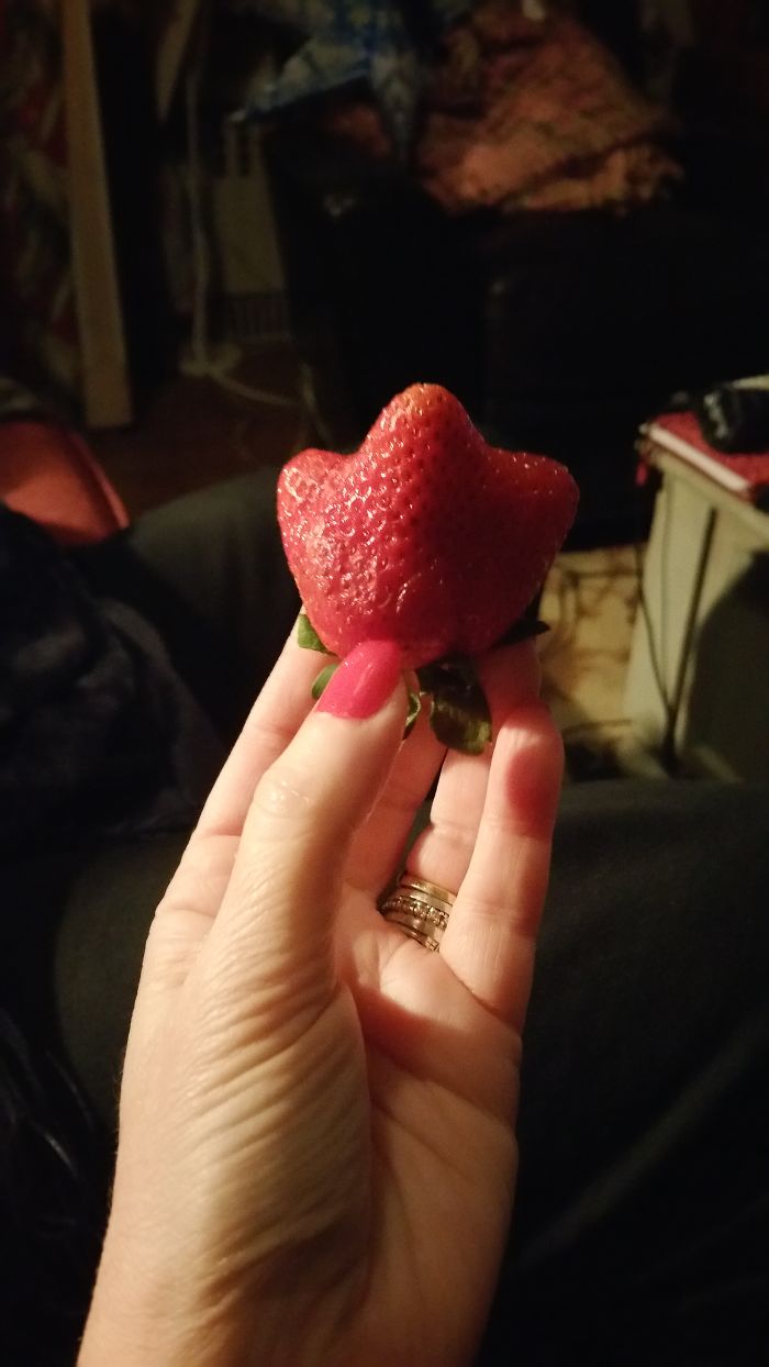 When Accidental Art Is Better Than Your Actual Art (202 Pics) When Accidental Art Is Better Than Your Actual Art (202 Pics)