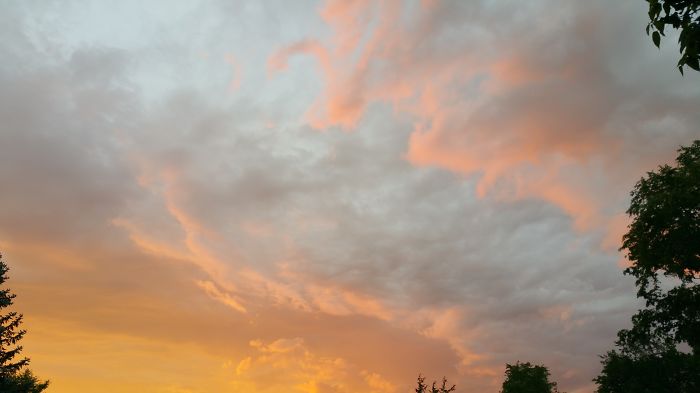 When Accidental Art Is Better Than Your Actual Art (202 Pics) When Accidental Art Is Better Than Your Actual Art (202 Pics)