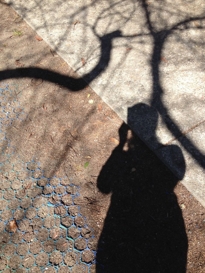 When Accidental Art Is Better Than Your Actual Art (202 Pics) When Accidental Art Is Better Than Your Actual Art (202 Pics)