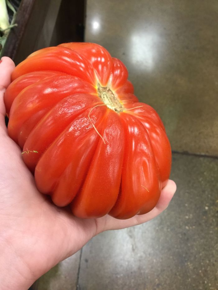 When Accidental Art Is Better Than Your Actual Art (202 Pics) When Accidental Art Is Better Than Your Actual Art (202 Pics)