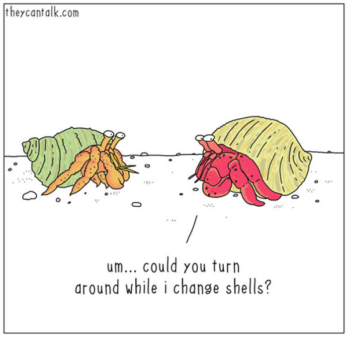 If Animals Could Talk (30 Pics)