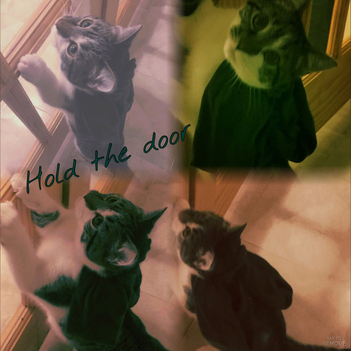 Game of Thrones Last Episode Inspires Hilarious Reactions (39 Pics) Game of Thrones Last Episode Inspires Hilarious Reactions (39 Pics)