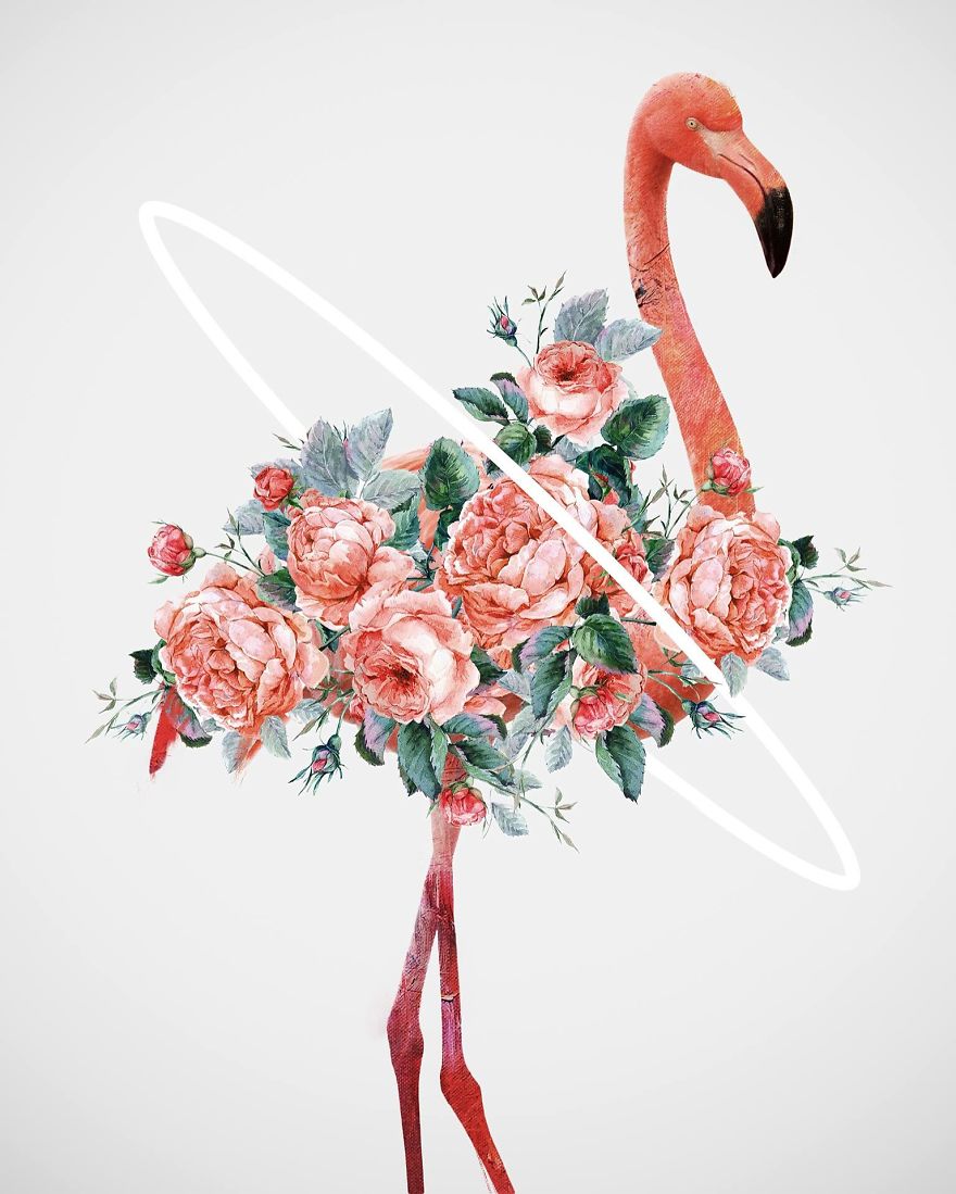 My Surreal Illustrations Of Women And Birds My Surreal Illustrations Of Women And Birds