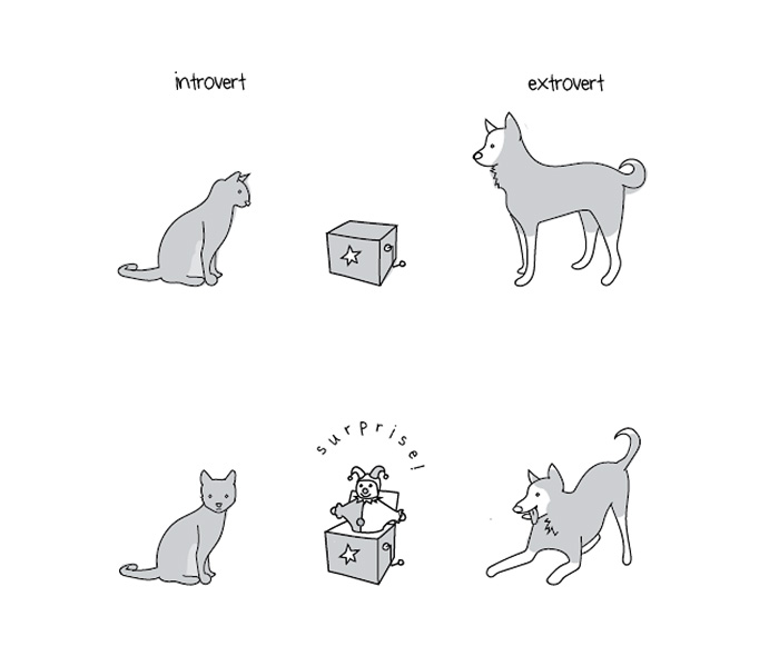 88 Comics That introverts Will Understand 88 Comics That introverts Will Understand