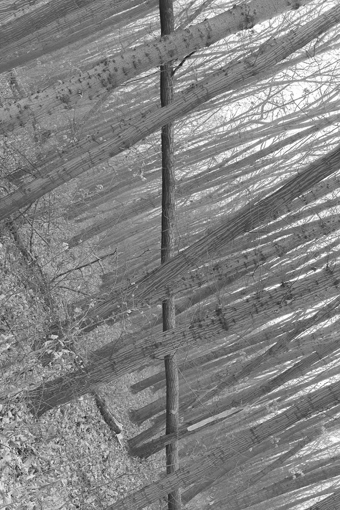 The Coincidence Project Will Challenge The Way You Look At The World The Coincidence Project Will Challenge The Way You Look At The World