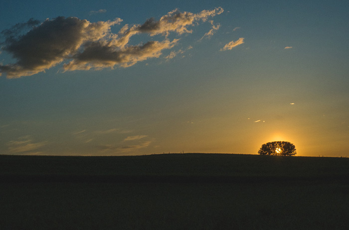 The Coincidence Project Will Challenge The Way You Look At The World The Coincidence Project Will Challenge The Way You Look At The World