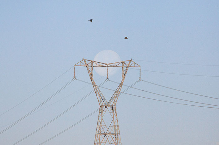 The Coincidence Project Will Challenge The Way You Look At The World The Coincidence Project Will Challenge The Way You Look At The World