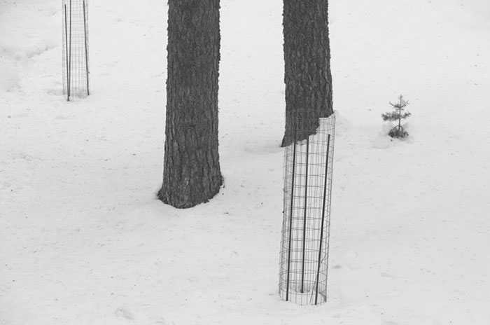 The Coincidence Project Will Challenge The Way You Look At The World The Coincidence Project Will Challenge The Way You Look At The World