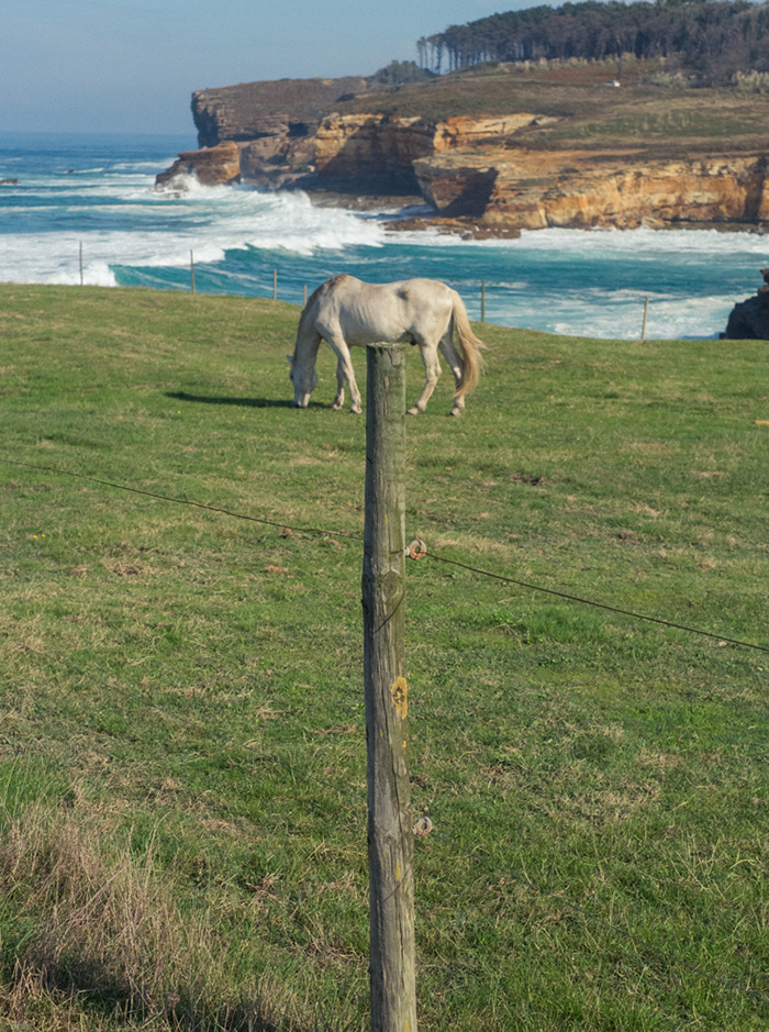 The Coincidence Project Will Challenge The Way You Look At The World The Coincidence Project Will Challenge The Way You Look At The World