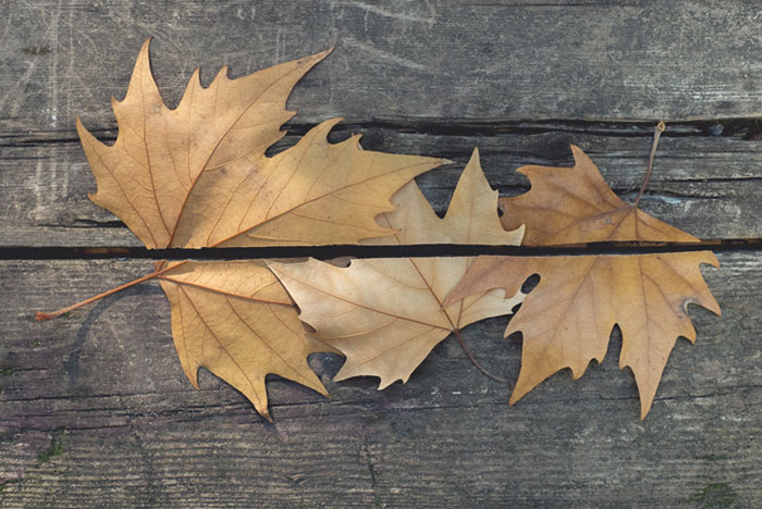 The Coincidence Project Will Challenge The Way You Look At The World The Coincidence Project Will Challenge The Way You Look At The World