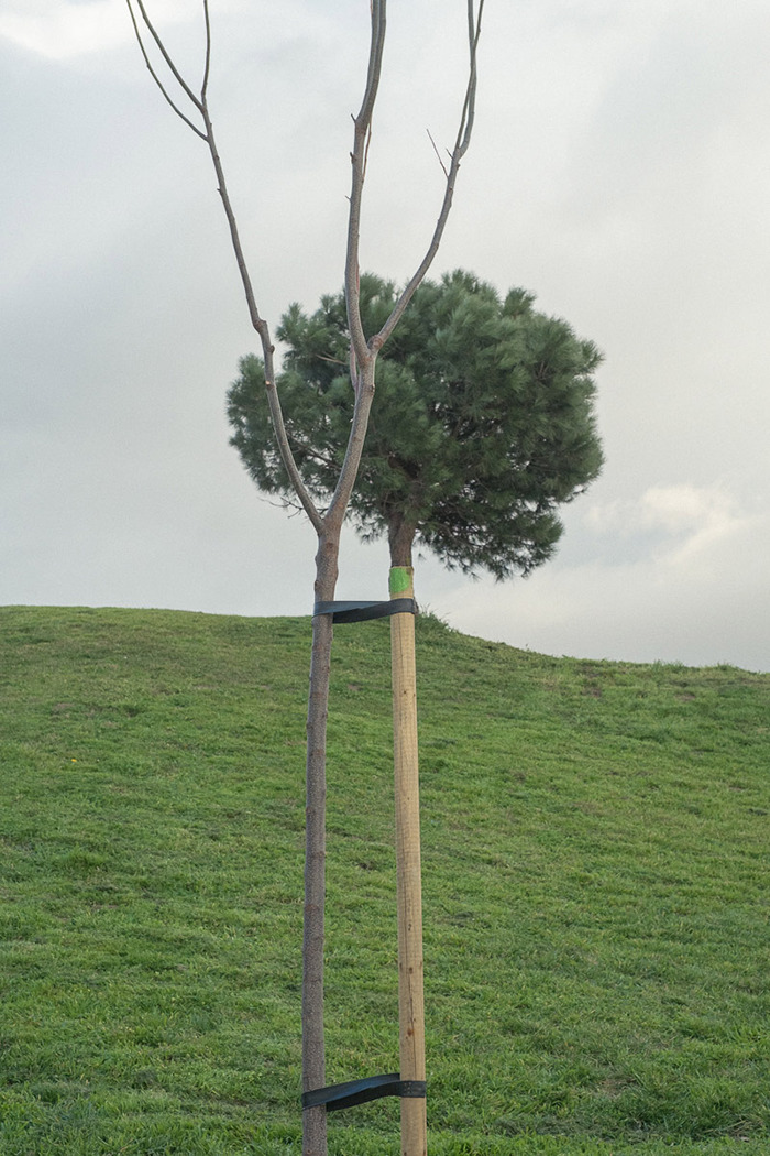 The Coincidence Project Will Challenge The Way You Look At The World The Coincidence Project Will Challenge The Way You Look At The World