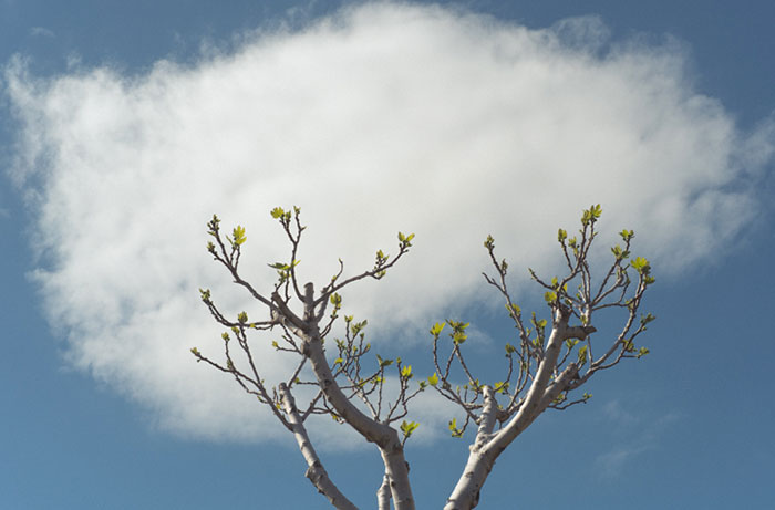 The Coincidence Project Will Challenge The Way You Look At The World The Coincidence Project Will Challenge The Way You Look At The World