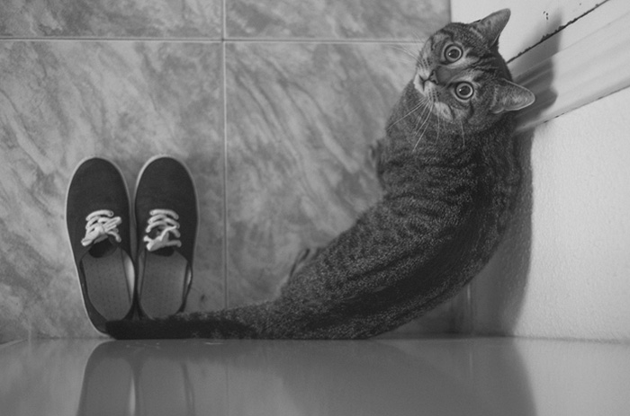 The Coincidence Project Will Challenge The Way You Look At The World The Coincidence Project Will Challenge The Way You Look At The World