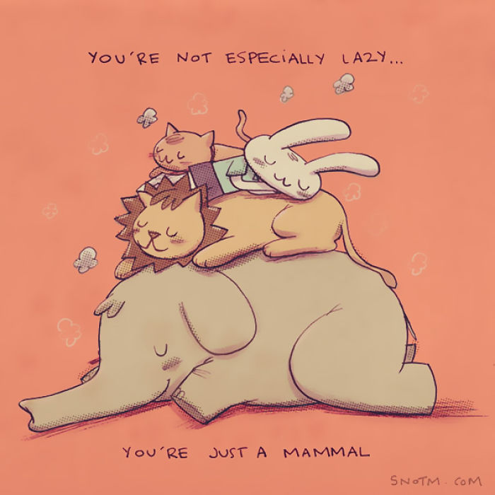 Stuff No One Told Me (56 Pics) Stuff No One Told Me (56 Pics)