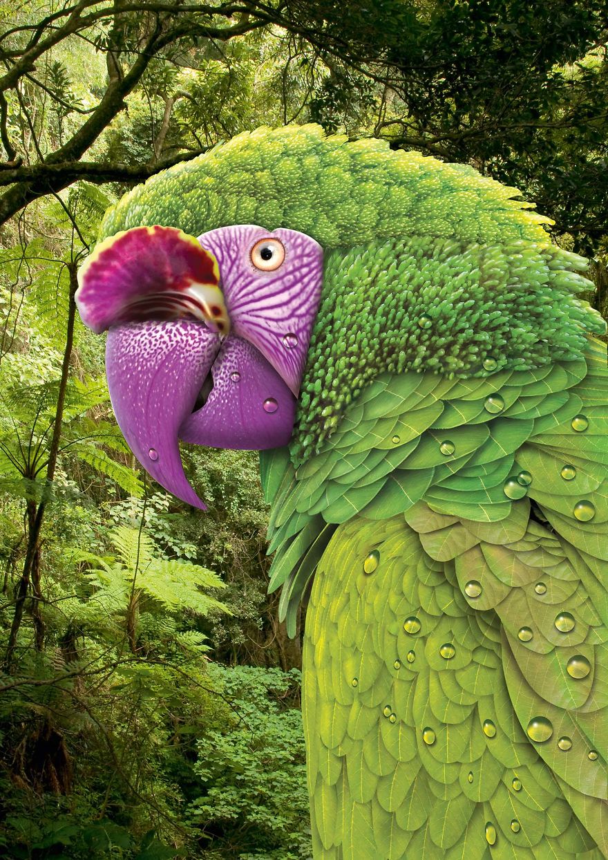 My Surreal Illustrations Portray The Relationship Between Humans And Nature My Surreal Illustrations Portray The Relationship Between Humans And Nature