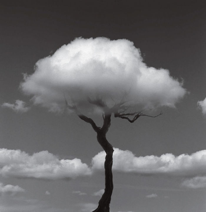 25 Mind-Bending Photos by Chema Madoz That Will Make You Look Twice