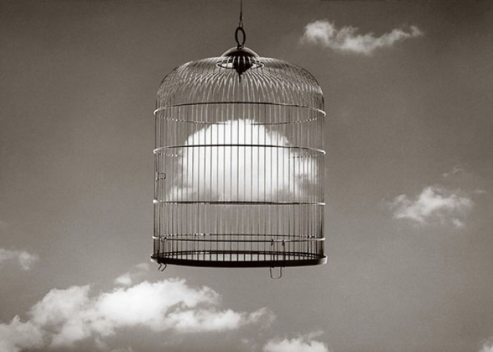 25 Mind-Bending Photos by Chema Madoz That Will Make You Look Twice
