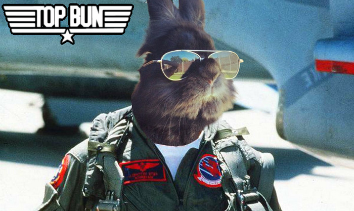 Somebody Put Sunglasses On A Bunny And It Started An Epic Photoshop Battle (70 Pics) Somebody Put Sunglasses On A Bunny And It Started An Epic Photoshop Battle (70 Pics)