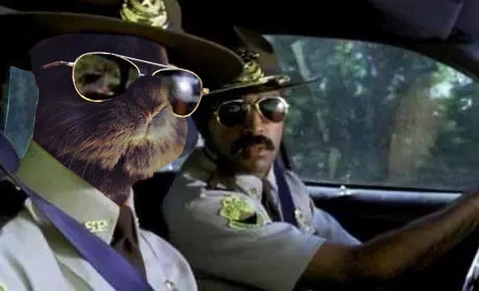 Somebody Put Sunglasses On A Bunny And It Started An Epic Photoshop Battle (70 Pics) Somebody Put Sunglasses On A Bunny And It Started An Epic Photoshop Battle (70 Pics)