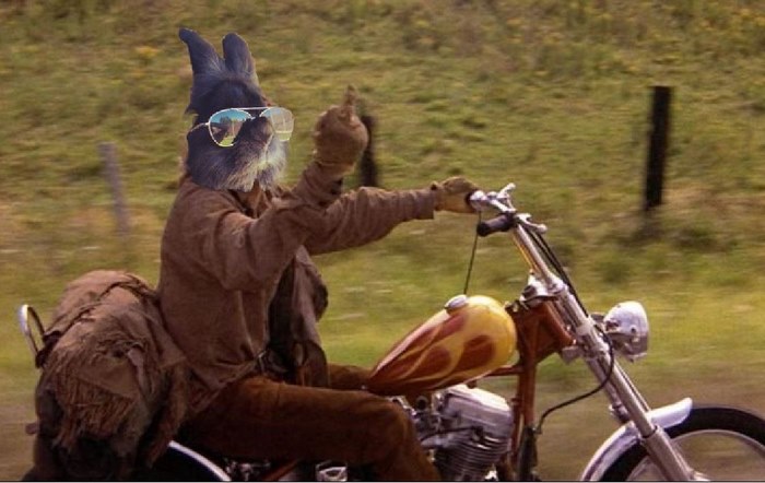 Somebody Put Sunglasses On A Bunny And It Started An Epic Photoshop Battle (70 Pics) Somebody Put Sunglasses On A Bunny And It Started An Epic Photoshop Battle (70 Pics)