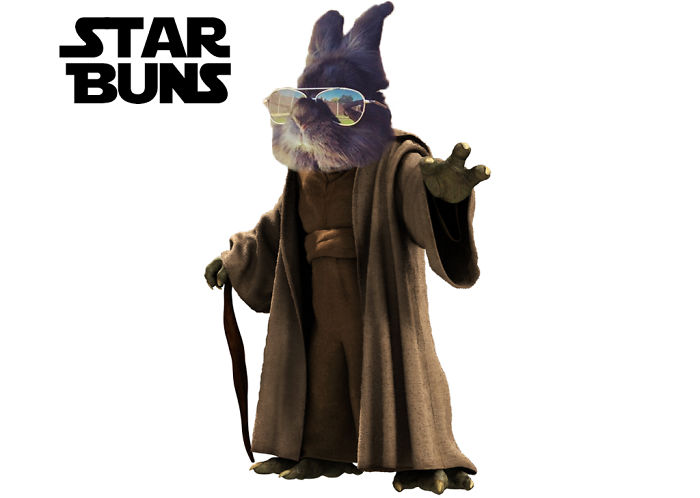 Somebody Put Sunglasses On A Bunny And It Started An Epic Photoshop Battle (70 Pics) Somebody Put Sunglasses On A Bunny And It Started An Epic Photoshop Battle (70 Pics)