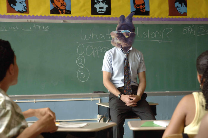 Somebody Put Sunglasses On A Bunny And It Started An Epic Photoshop Battle (70 Pics) Somebody Put Sunglasses On A Bunny And It Started An Epic Photoshop Battle (70 Pics)