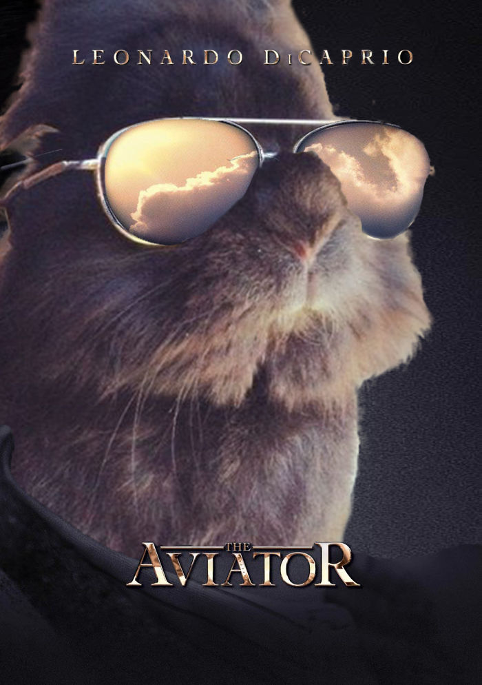 Somebody Put Sunglasses On A Bunny And It Started An Epic Photoshop Battle (70 Pics) Somebody Put Sunglasses On A Bunny And It Started An Epic Photoshop Battle (70 Pics)