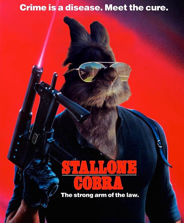 Somebody Put Sunglasses On A Bunny And It Started An Epic Photoshop Battle (70 Pics) Somebody Put Sunglasses On A Bunny And It Started An Epic Photoshop Battle (70 Pics)