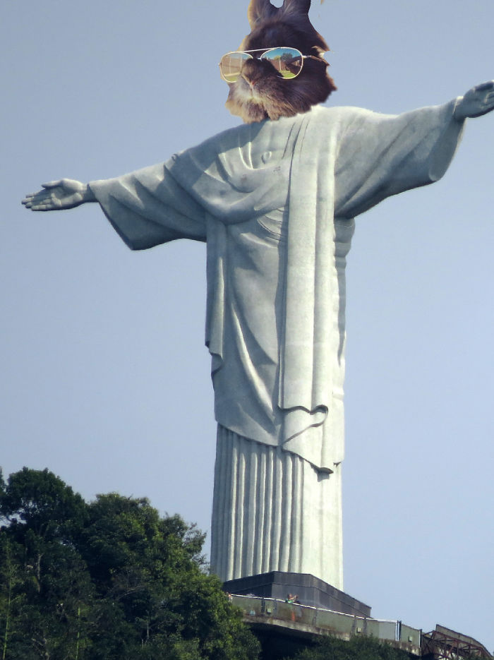 Somebody Put Sunglasses On A Bunny And It Started An Epic Photoshop Battle (70 Pics) Somebody Put Sunglasses On A Bunny And It Started An Epic Photoshop Battle (70 Pics)