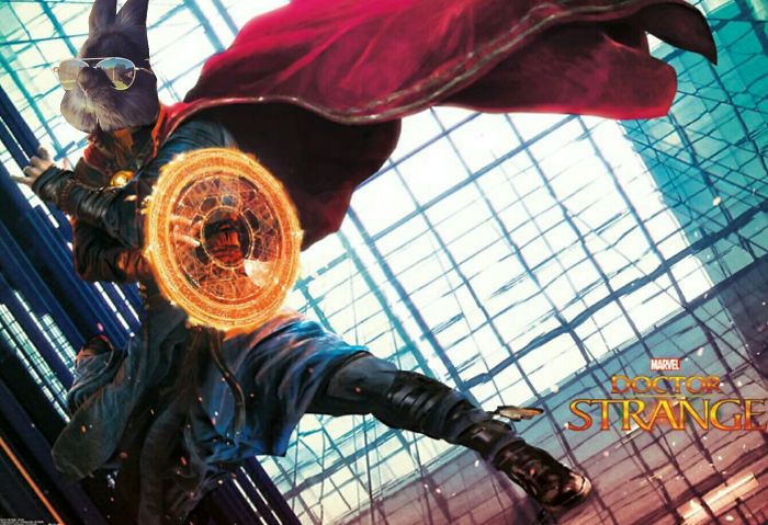 Somebody Put Sunglasses On A Bunny And It Started An Epic Photoshop Battle (70 Pics) Somebody Put Sunglasses On A Bunny And It Started An Epic Photoshop Battle (70 Pics)