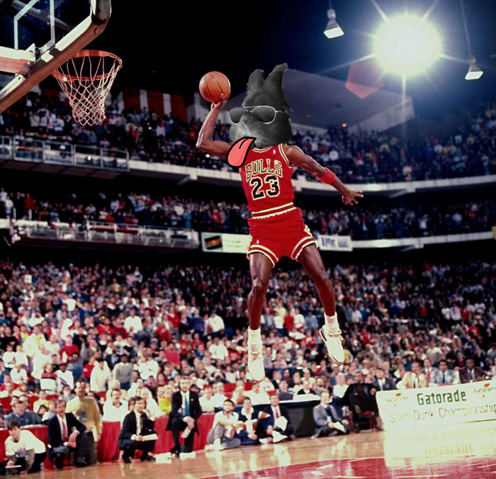 Somebody Put Sunglasses On A Bunny And It Started An Epic Photoshop Battle (70 Pics) Somebody Put Sunglasses On A Bunny And It Started An Epic Photoshop Battle (70 Pics)