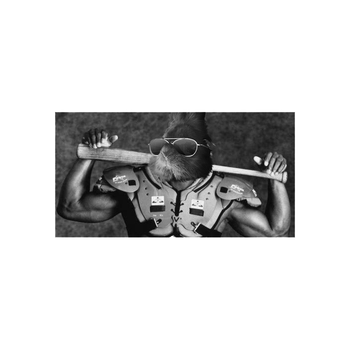 Somebody Put Sunglasses On A Bunny And It Started An Epic Photoshop Battle (70 Pics) Somebody Put Sunglasses On A Bunny And It Started An Epic Photoshop Battle (70 Pics)