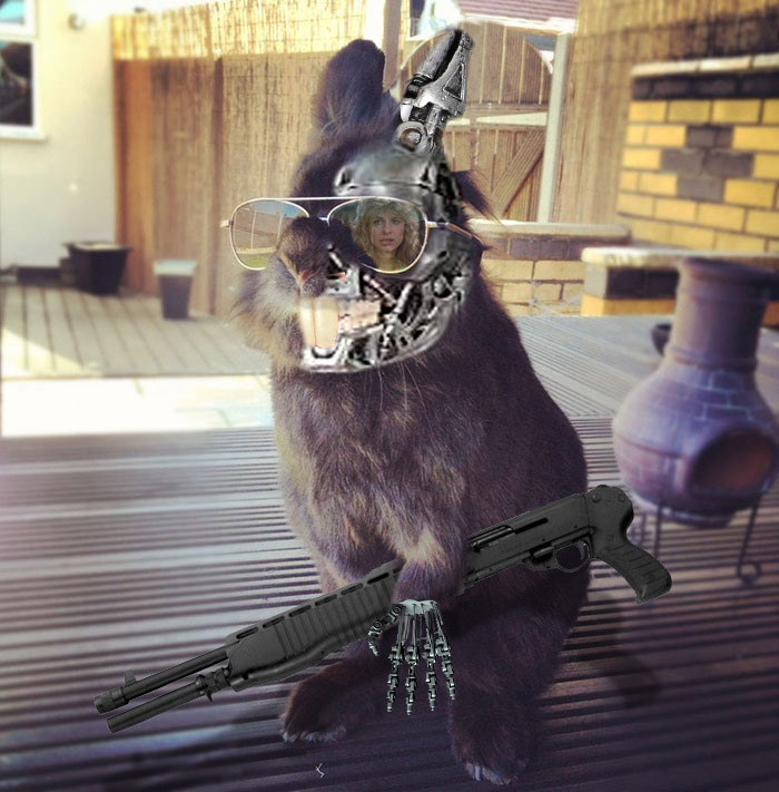 Somebody Put Sunglasses On A Bunny And It Started An Epic Photoshop Battle (70 Pics) Somebody Put Sunglasses On A Bunny And It Started An Epic Photoshop Battle (70 Pics)