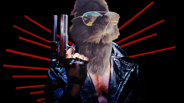 Somebody Put Sunglasses On A Bunny And It Started An Epic Photoshop Battle (70 Pics) Somebody Put Sunglasses On A Bunny And It Started An Epic Photoshop Battle (70 Pics)