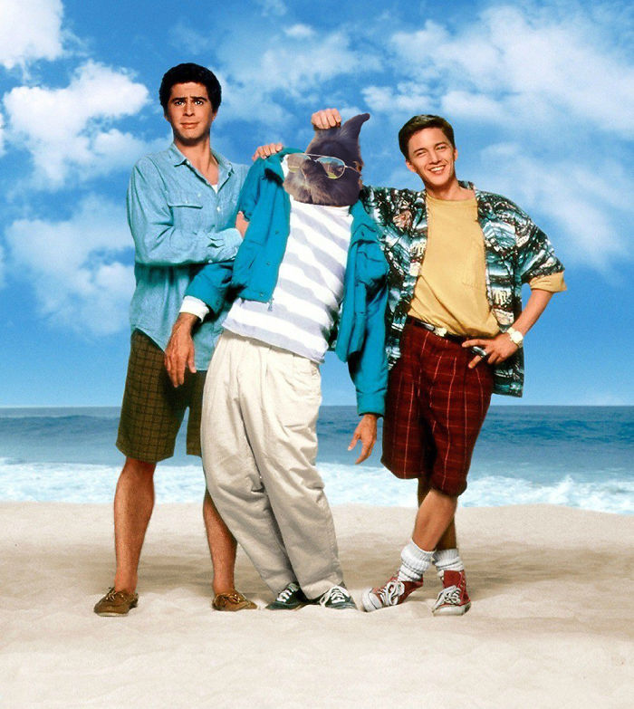 Somebody Put Sunglasses On A Bunny And It Started An Epic Photoshop Battle (70 Pics) Somebody Put Sunglasses On A Bunny And It Started An Epic Photoshop Battle (70 Pics)