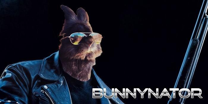 Somebody Put Sunglasses On A Bunny And It Started An Epic Photoshop Battle (70 Pics) Somebody Put Sunglasses On A Bunny And It Started An Epic Photoshop Battle (70 Pics)