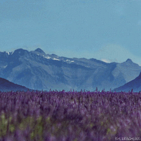 Polish Artist Turns Famous Classic Paintings Into Hilarious GIFs (67 Pics)