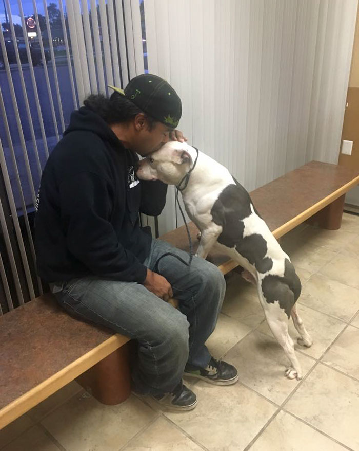 Dog Waits One Month For His Family To Return, After They Left Him Behind While Moving Out