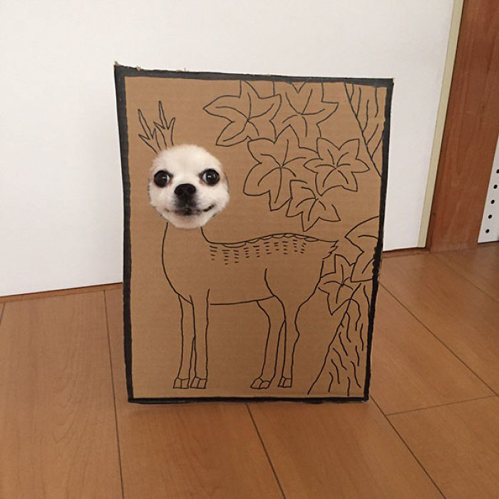 Japanese Woman Creates Hilarious Cardboard Cutouts With Her Dog (59 Pics)