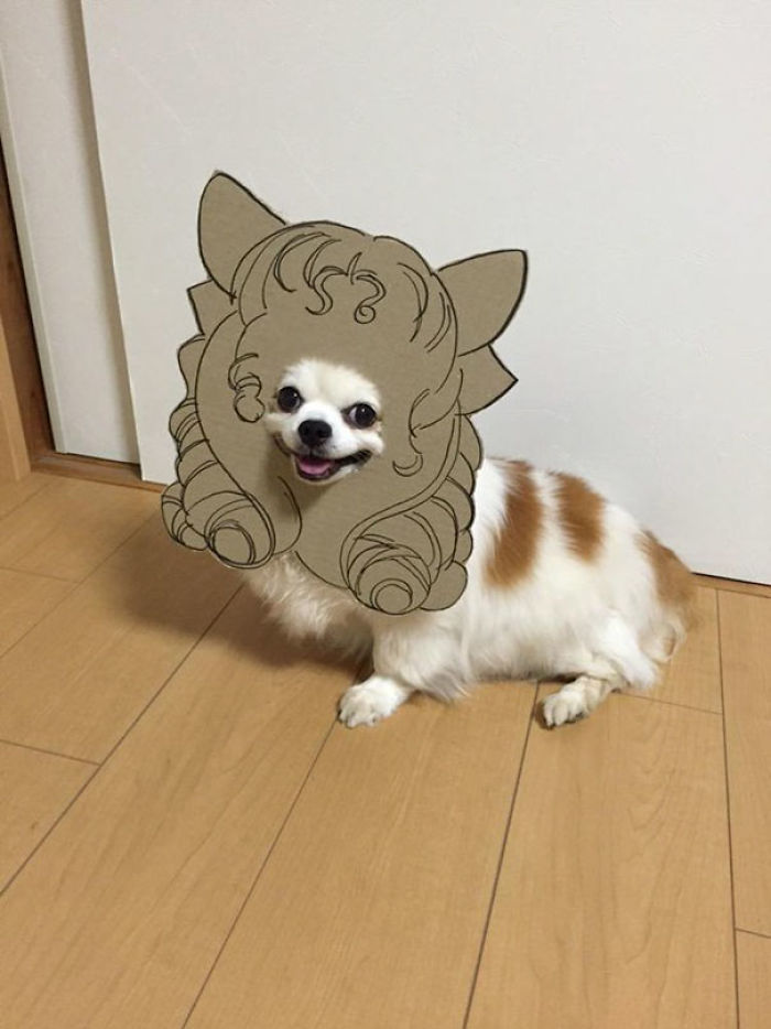 Japanese Woman Creates Hilarious Cardboard Cutouts With Her Dog (59 Pics)