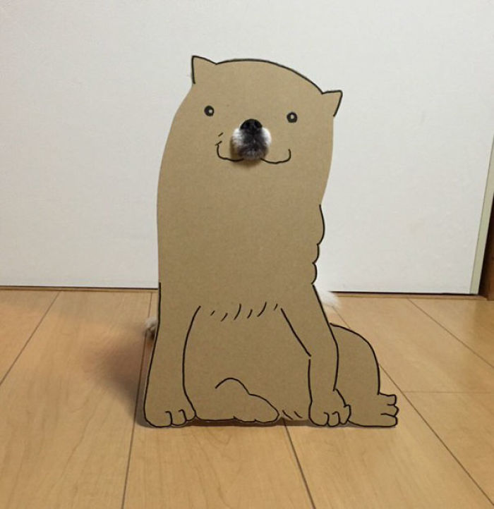 Japanese Woman Creates Hilarious Cardboard Cutouts With Her Dog (59 Pics)