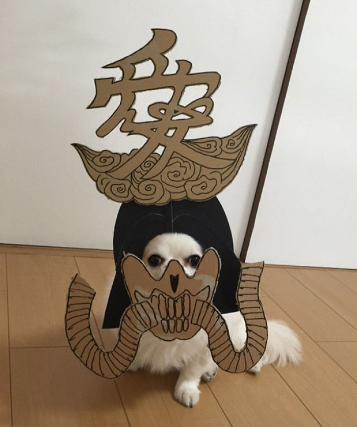 Japanese Woman Creates Hilarious Cardboard Cutouts With Her Dog (59 Pics)