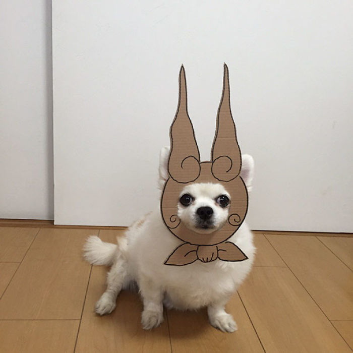 Japanese Woman Creates Hilarious Cardboard Cutouts With Her Dog (59 Pics)